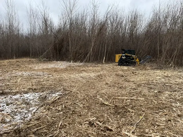 land clearing